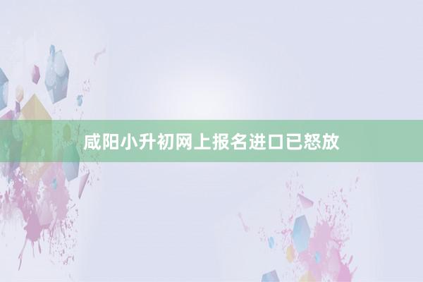 咸阳小升初网上报名进口已怒放