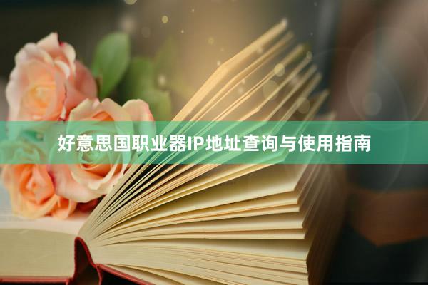好意思国职业器IP地址查询与使用指南
