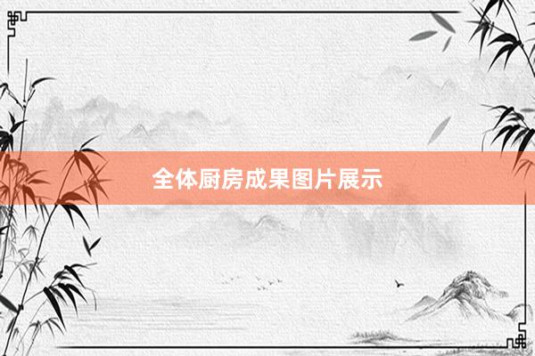 全体厨房成果图片展示