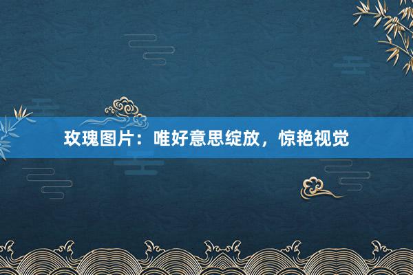 玫瑰图片：唯好意思绽放，惊艳视觉