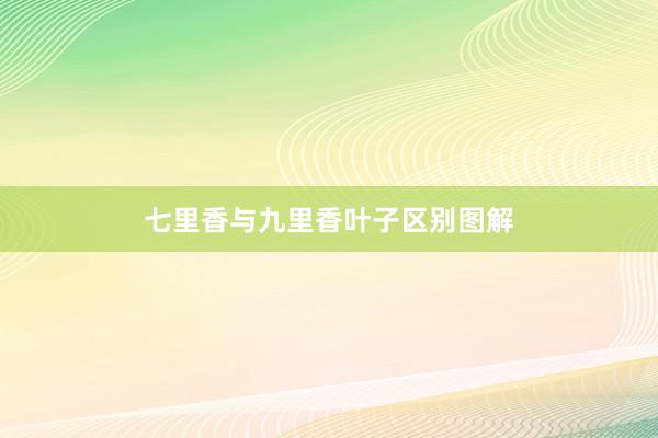 七里香与九里香叶子区别图解