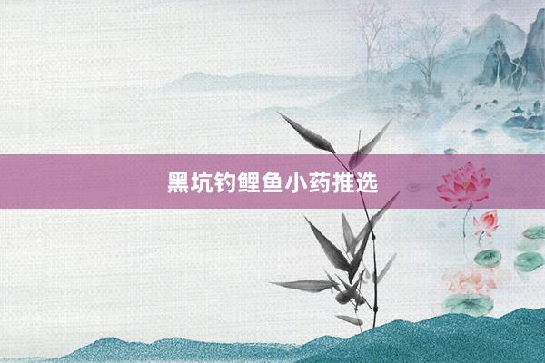 黑坑钓鲤鱼小药推选
