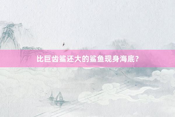 比巨齿鲨还大的鲨鱼现身海底？