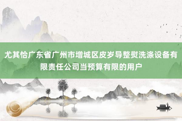 尤其恰广东省广州市增城区皮岁导整熨洗涤设备有限责任公司当预算有限的用户